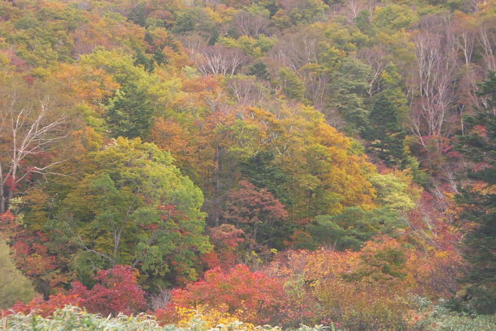Hotel 伊藤屋 Yamagata  Zewnętrze zdjęcie