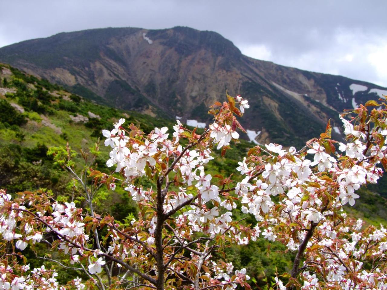 Hotel 伊藤屋 Yamagata  Zewnętrze zdjęcie